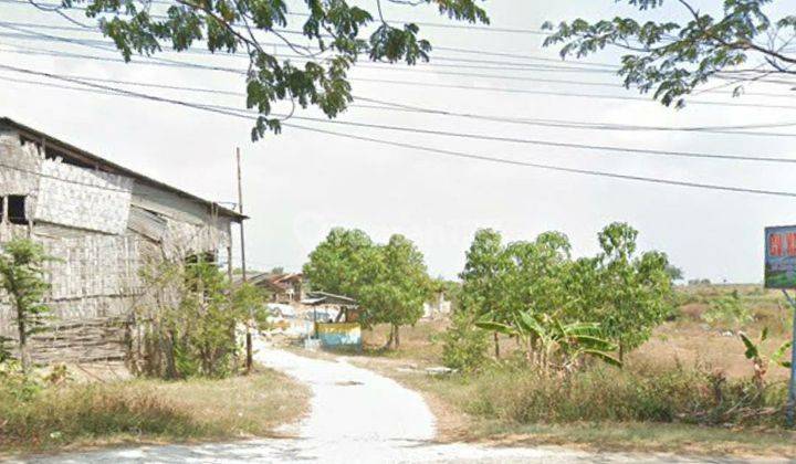 Dijual Tanah Murah Raya Jenu, Jalan Utama Tuban  1