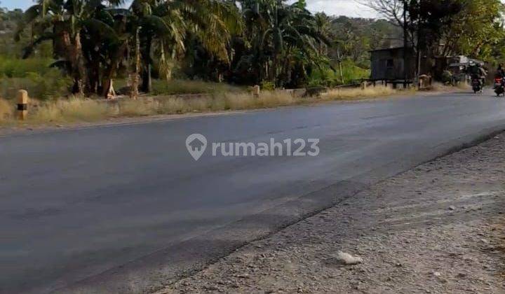 DIJUAL MURAH TANAH KOMERSIAL di Jl Timor Raya NoelBaki KUPANG TENGAH 1