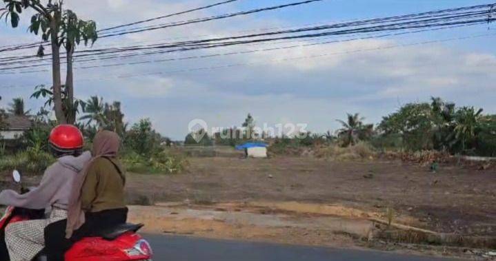 Tanah Dijual di Jalan Kasturi Desa Syamsudin Noor, SHM 2