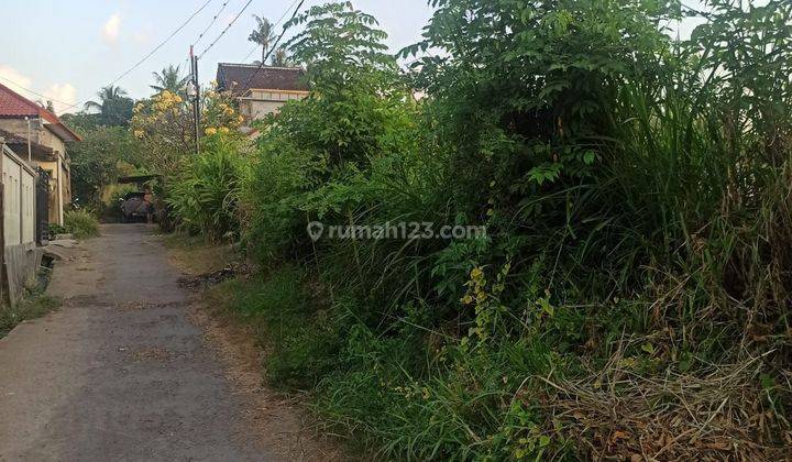 DIJUAL TANAH DIBALI di Singaraja Kabupaten Buleleng 1