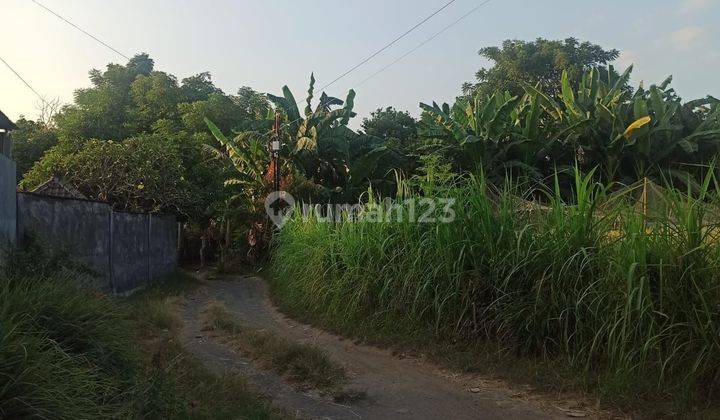 DIJUAL TANAH DIBALI di Singaraja Kabupaten Buleleng 2