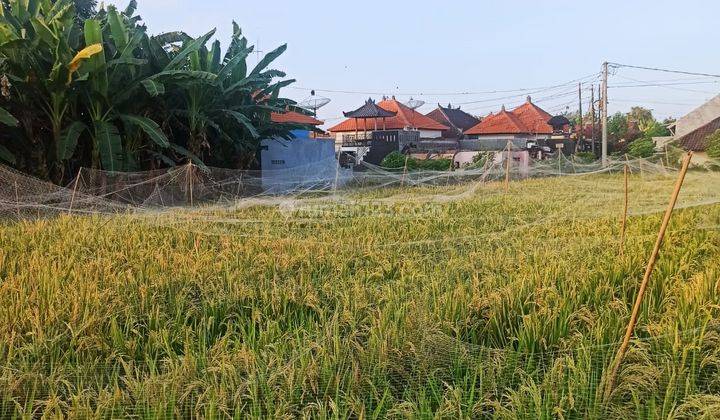 Tanah di Jalan Pulau Obi, Buleleng Bali SHM 1.240 m² 1