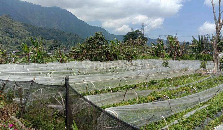 Tanah di Desa Pancasari Kec Sukasada, Buleleng SHM 1