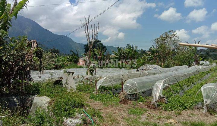 Tanah di Desa Pancasari Kec Sukasada, Buleleng SHM 2