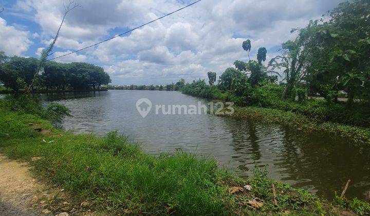 Tanah Dijual di Desa Sidomukti Lamongan, Lamongan SHM 1