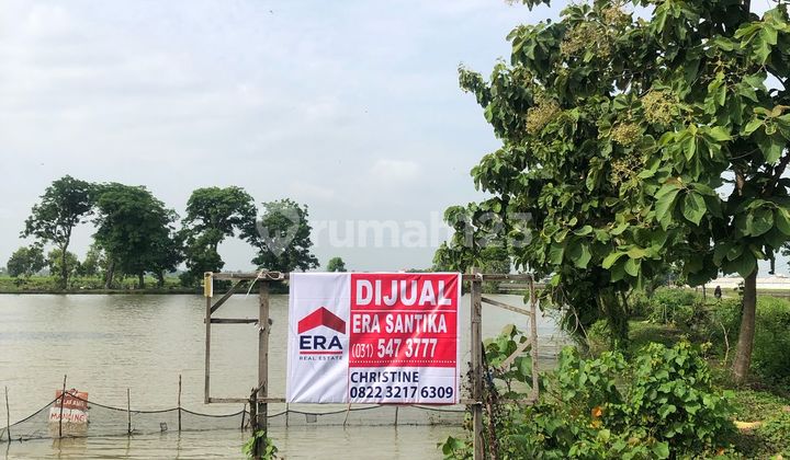 Tanah Dijual di Desa Sidomukti Lamongan SHM Murah Tanah Dijual di Desa Sidomukti Lamongan SHM Murah