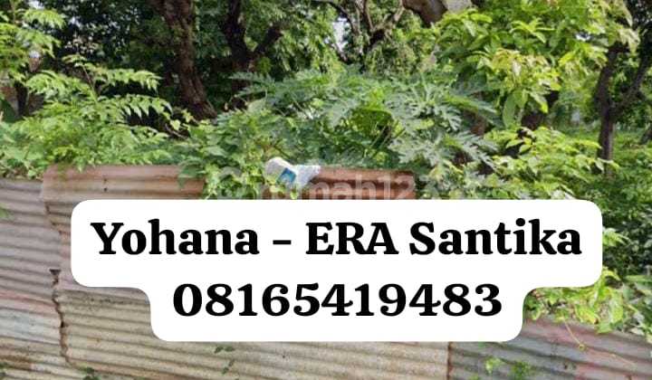 TANAH DIJUAL DI SITUBONDO LOKASI STRATEGIS TANAH DIJUAL DI SITUBONDO LOKASI STRATEGIS