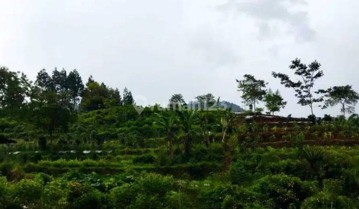 Tanah Kebun di Lembang, Bandung Barat 12.260m² SHM 2