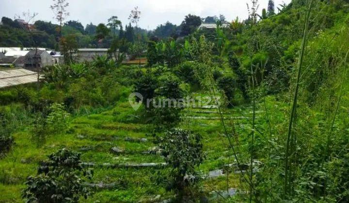 Tanah Kebun di Lembang, Bandung Barat 12.260m² SHM 1