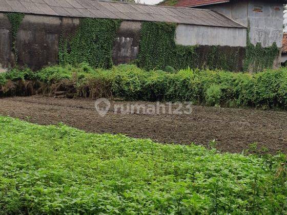 Dijual Cepat Tanah Kebun Kawasan Pergudangan Laksana di Teluk Naga Tangerang 1