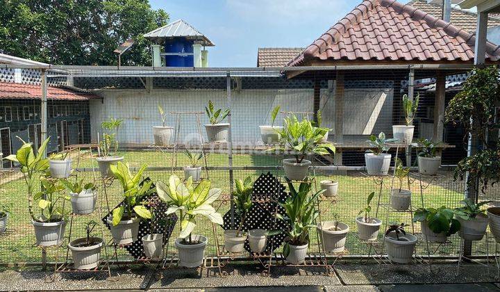 Rumah Bagus 2 Lantai di Cipayung Jakarta timur  2