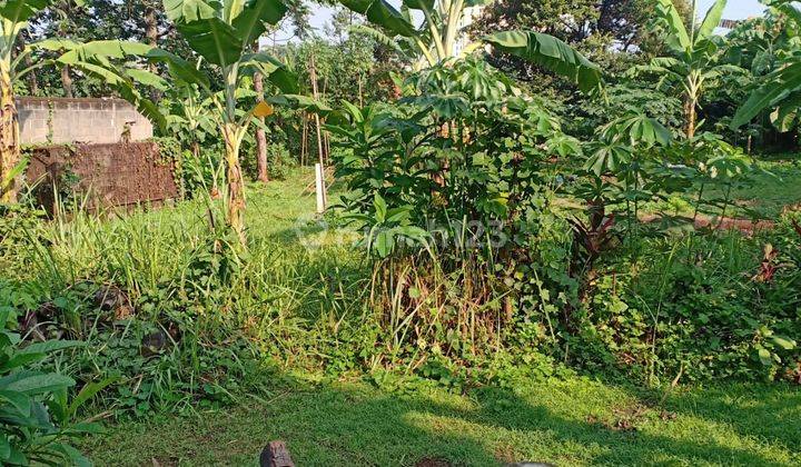 Tanah Dengan Kebun Buah Di Pekapuran Cimanggis Depok 1