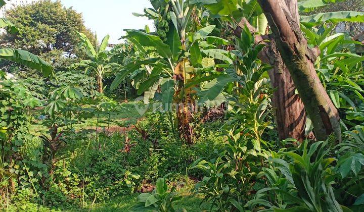 Tanah Dengan Kebun Buah Di Pekapuran Cimanggis Depok 2