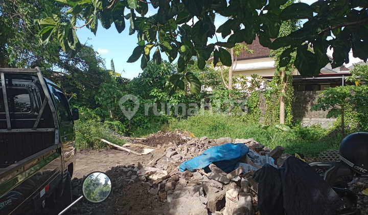 Tanah di daerah panjer dekat ke renon 4