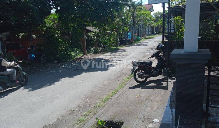 Tanah di daerah panjer dekat ke renon 6