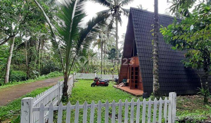 Villa dari kayu dengan tanah luas di area perbukitan dekat air terjun  1