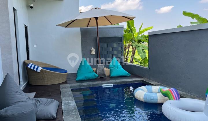 Rumah Furnis Bergaya Villa Di Denpasar Timur