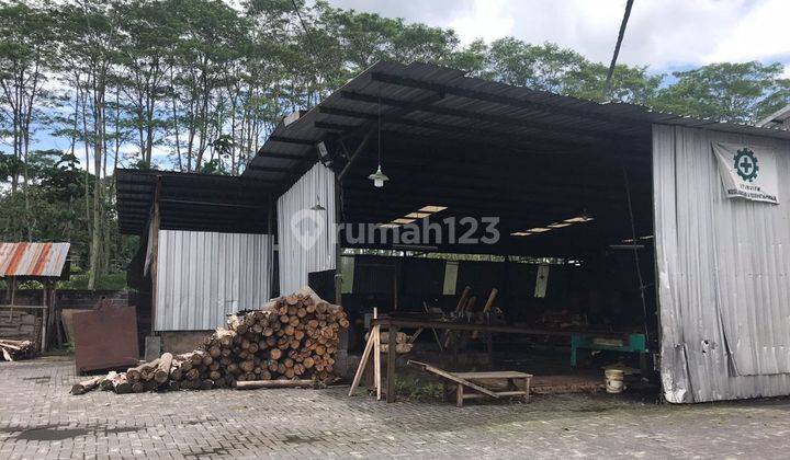 DIJUAL CEPAT PABRIK KAYU DI LUMAJANG JAWA TIMUR 2