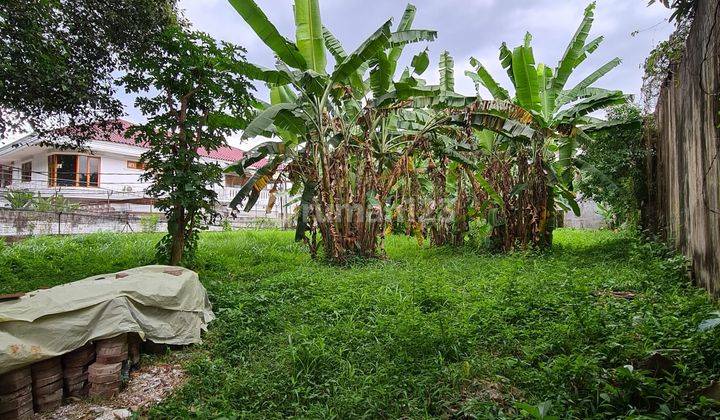 Dijual Cepat Tanah Kavling Harga Hampir NJOP Di Kemang 7