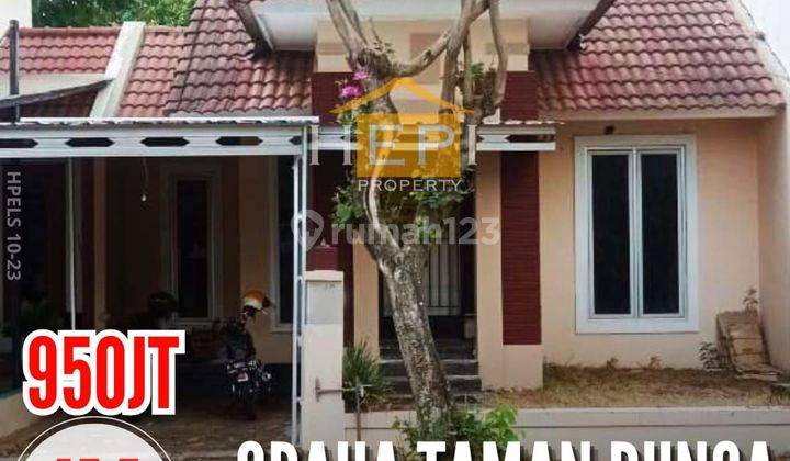 Rumah di BSB Harga di BAWAH 1M an siap pakai  1