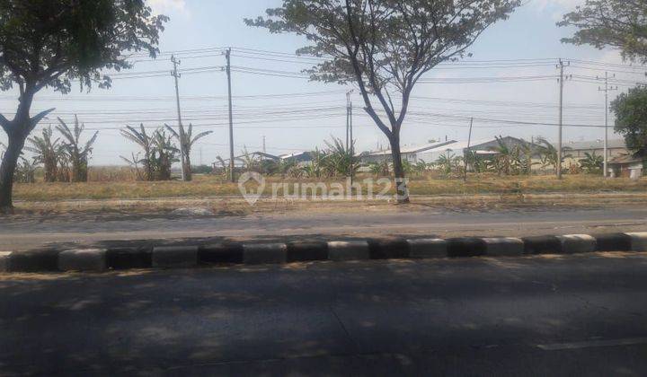 Tanah di RAYA SEMARANG DEMAK KM 14,Zona Industri 2