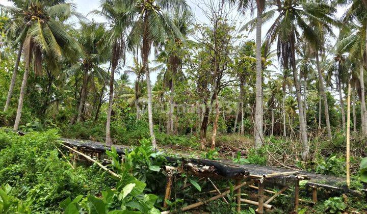 Tanah Murah Di karimun Jawa Cocok Untuk Hotel /Tempat Wisata  2