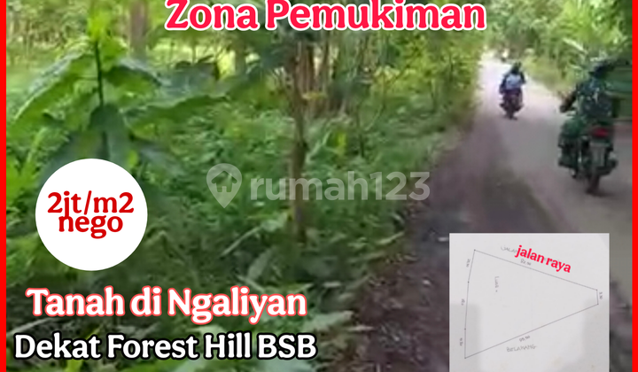 Tanah Murah Utk Perumahan Sebelah Bsb City Ngaliyan 1