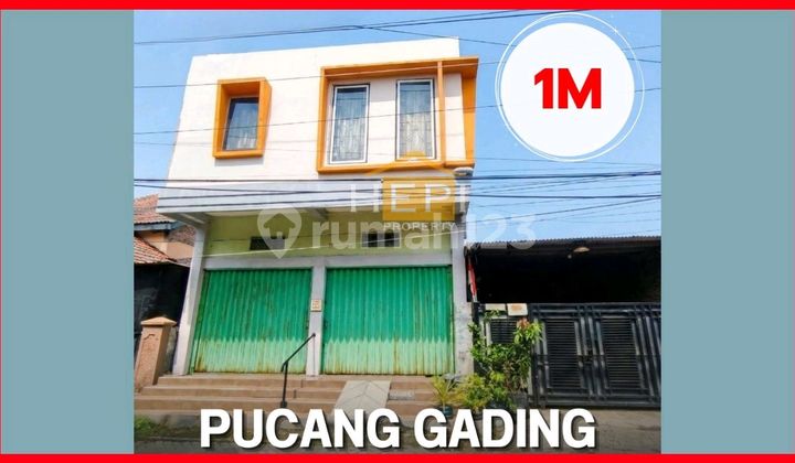 Rumah Dan Ruko Di Pucang Gading Cocok Utk Kos 1