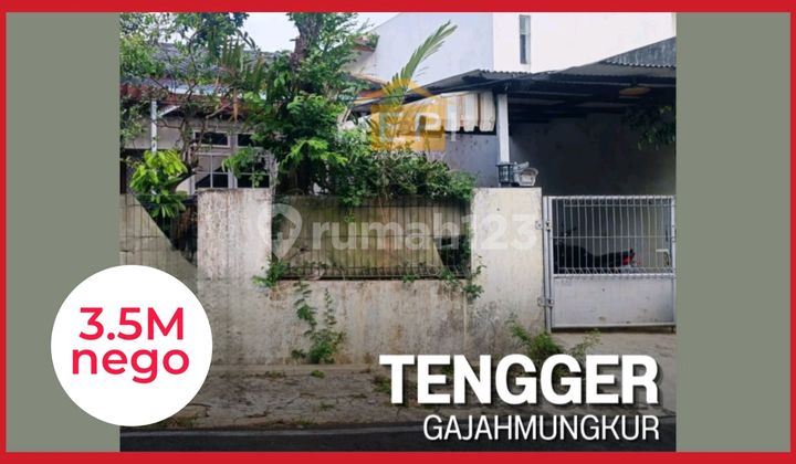 Rumah Orientasi Tanah Lokasi Premium Di Tengger 1