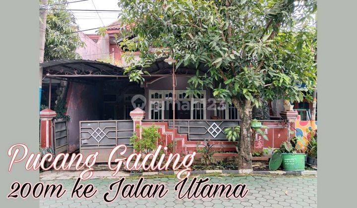 Rumah 200m Ke Pucang Gading Raya, Siap Pakai 1