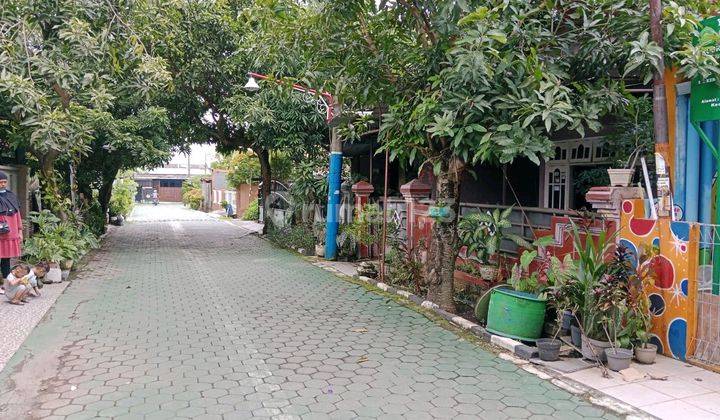 Rumah 200m Ke Pucang Gading Raya, Siap Pakai 2