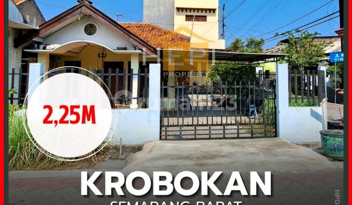 Rumah di Krobokan Cocok untuk Usaha Jalan Lebar 1