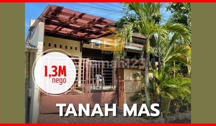 Flood-free House in Tanah Mas, Ready to Use 1