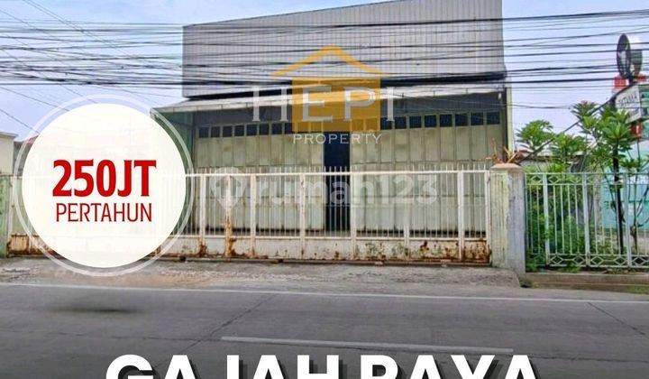 Ruko 1lt Lebar Di Jl. Gajah Siap Untk Usaha 1