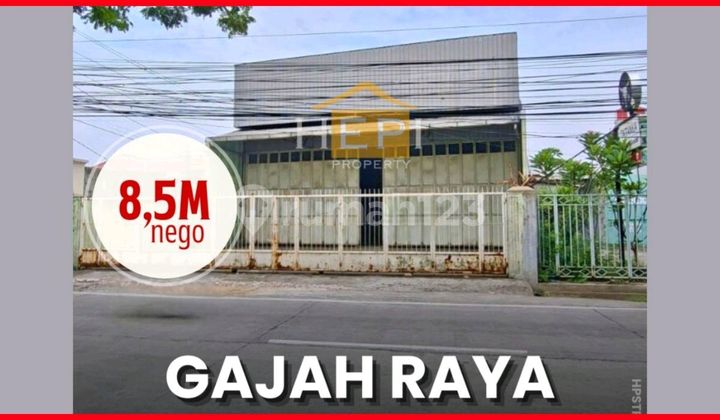 Ruko Lebar Di Jalan Gajah Siap Untuk Usaha 1