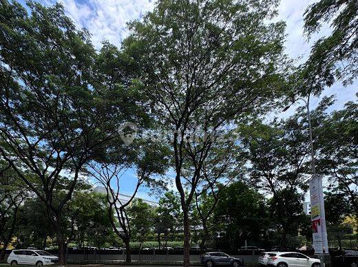 Dijual Ruko Delrey Business Town Bsd City Luas 99m Dgn 3 Lantai 2