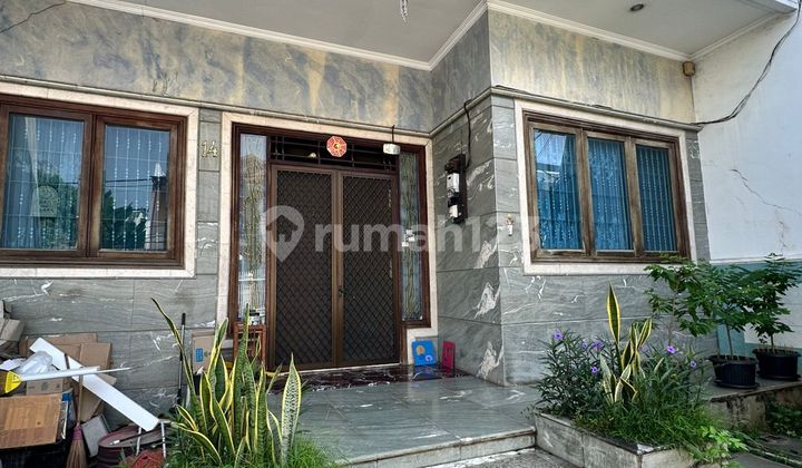 Rumah Di Pluit Sakti Jakarta Utara Luas 250m 4kt 2