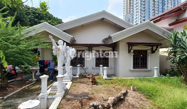 RUMAH PLUS PEKARANGAN YANG LUAS 2