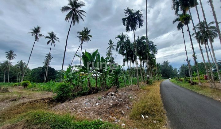 Tanah Shm Sungai Geringging Di Jl. Raya Lambeh, Malai Iii Koto, Kec. Sungai Geringging, Kabupaten Padang Pariaman, Sumatera Barat