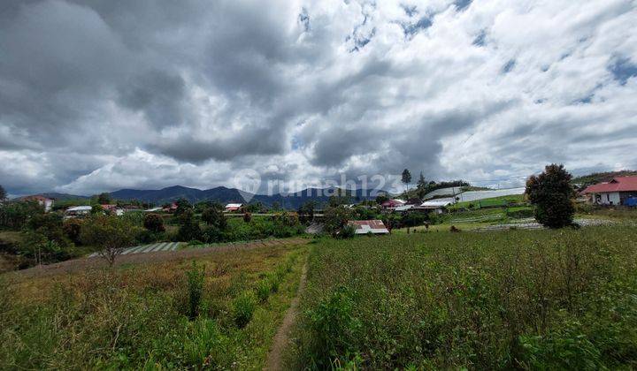Tanah Parak untuk ladang dipinggir jalan raya Alahan Panjang 3