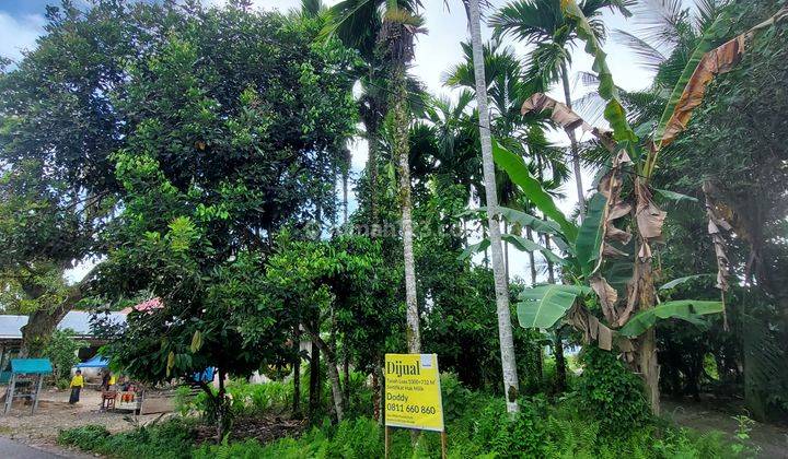 Tanah Untuk Perumahan di Jl.Talao Mundam,Nagari Ketaping 1
