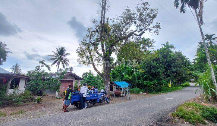 Tanah Untuk Perumahan di Jl.Talao Mundam,Nagari Ketaping 2