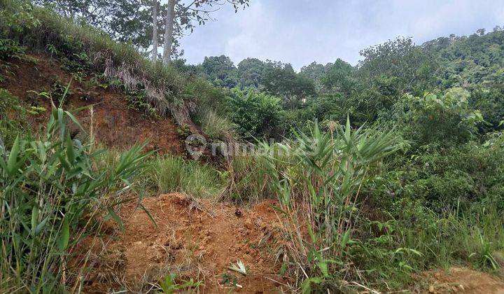 Tanah di Jalan Parak Balik,Simpang SMP 16,gang Masjid Ainul Yaqin,UIN Sungai Bangek 1
