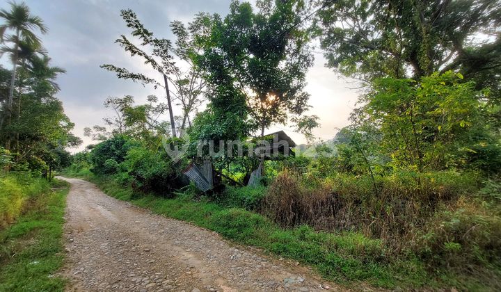 Agricultural Land Near UIN Padang Campus
