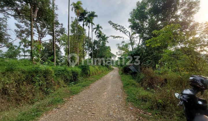 Agricultural Land Near UIN Padang Campus