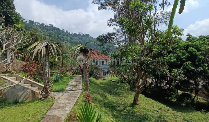 Di  villa hitung tanah di puncak bogor 1