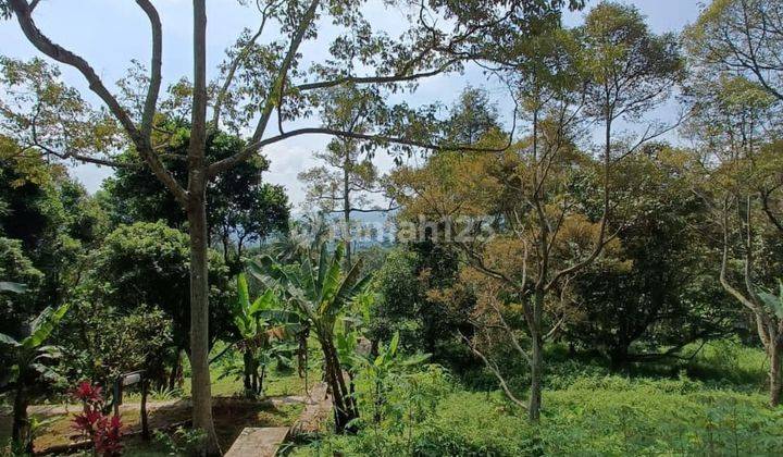 Di  villa hitung tanah di puncak bogor 2