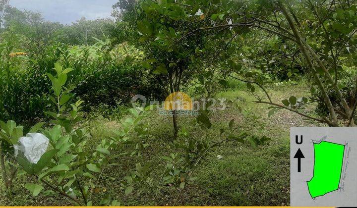 Dijual Tanah Luas Strategis di Plarar, Kopeng, Salatiga 1