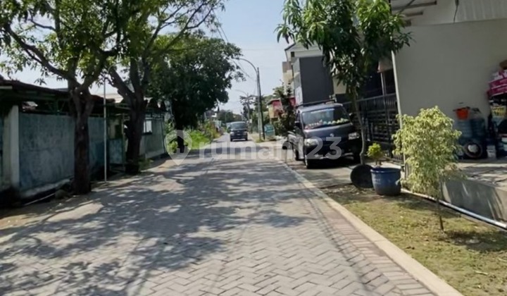 Modern Minimalist Design House, Established Neighborhood 2