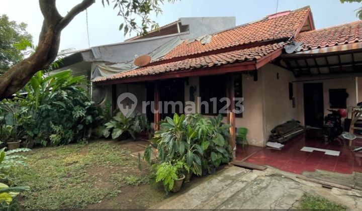 Rumah Tua Hitung Tanah Murah Dalam Komplek Cipete Jakarta Selatan 